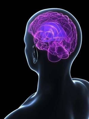 Чем заменить таблетки для улучшения работы мозга: 5 советов нейробиолога - lublusebya.ru