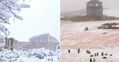 Афины и Ливию засыпало снегом, а в Антарктиде он порозовел - tochka.net - Греция - Ливия - Антарктида - Афины