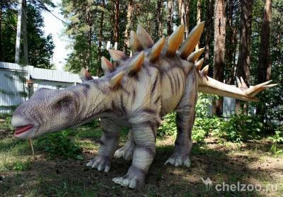 Челябинский зоопарк объявил торги на поставку динозавров - mur.tv