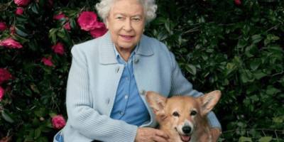 королева Елизавета II (Ii) - Королева Великобритании Елизавета II: и монархам бывает очень грустно - mur.tv