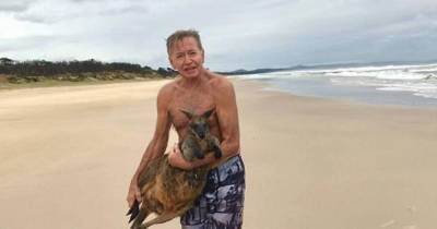 Мужчины спасли бросившегося в океан кенгуру и стали героями - mur.tv - Австралия