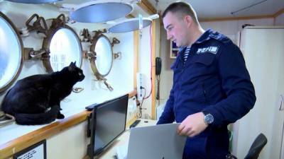 Кошка по имени Собака плавает с моряками на корабле Перекоп. - mur.tv