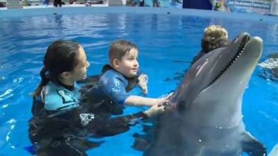 Видео из Сети. Плавать с дельфинами: губернатор исполнил мечту юного ямальца - mur.tv
