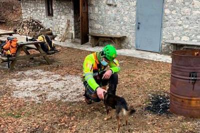 Турист с переломом пропал в горах на неделю и выжил благодаря собаке - mur.tv - Италия