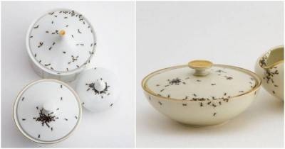 Эксклюзивная посуда: почему чашки с муравьями стоят так дорого - lifehelper.one - Германия