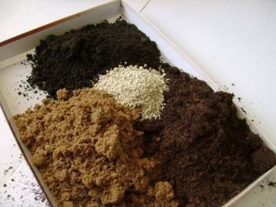Как правильно приготовить почвогрунт для выращивания рассады своими руками: лучшие рецепты почвосмесей - sadogorod.club
