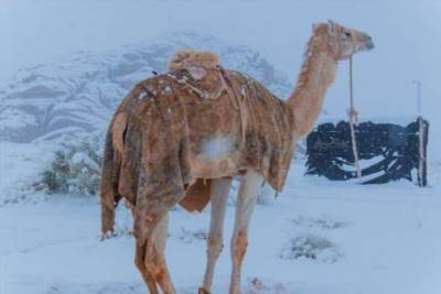 В пустыне Сахара выпал снег - chert-poberi.ru - Алжир