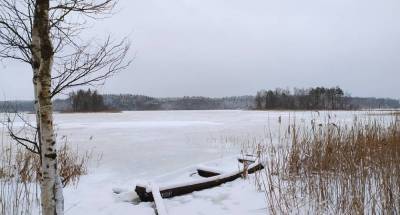 Отпуск в январе: где отдохнуть в Беларуси зимой? - lifehelper.one - Белоруссия