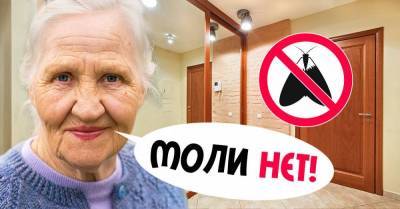 Бабушкины советы, чтобы одежда не пахла плесенью и не кормила моль - lifehelper.one