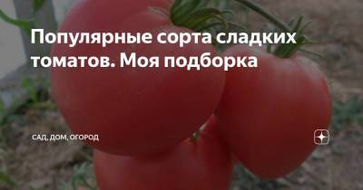 Популярные сорта сладких томатов. Моя подборка - sadogorod.club