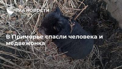 В Приморье спасли человека и медвежонка - mur.tv - Владивосток - Приморье край