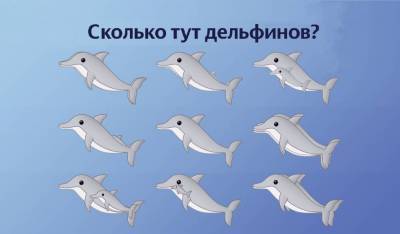 Визуальная головоломка: Сколько дельфинов вы видите на картинке? - lifehelper.one