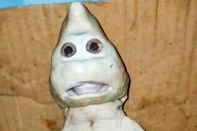 В беременной акуле нашли детеныша-мутанта с человеческим лицом - mur.tv - Индонезия