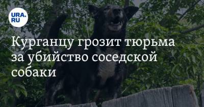 Курганцу грозит тюрьма за убийство соседской собаки - mur.tv - Россия - Курган