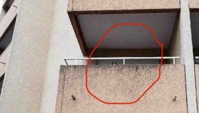 Мяукание с соседского балкона: чисто французское спасение - mur.tv