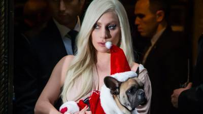 Леди Гага - Неизвестные расстреляли ассистента Леди Гаги и похитили ее собак - tatler.ru - Италия