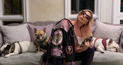 Леди Гага - Подстрелили помощника и требуют выкуп: собак Леди Гаги похитили вооруженные бандиты - tochka.net - Сша - Италия - Рим
