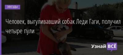 Человек, выгуливавший собак Леди Гаги, получил четыре пули - uznayvse.ru - Италия