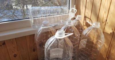 Что сделать с бутылками от воды, если к весне их слишком много накопилось - lifehelper.one