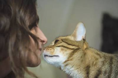 Почему кошка кусает мой подбородок? - mur.tv