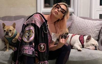 Ким Кардашьян - Леди Гага - Райан Фишер - Леди Гаге вернули собак, похищенных после стрельбы - hochu.ua - Лос-Анджелес