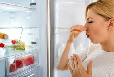 Как избавиться от запаха в холодильнике - sadogorod.club