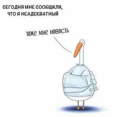 Неадекватный юмор из социальных сетей. Подборка №chert-poberi-umor-49110427022021 - chert-poberi.ru