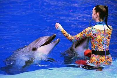 Светлана Бессараб - В Госдуме захотели запретить вылов дельфинов и косаток для дельфинариев - mur.tv
