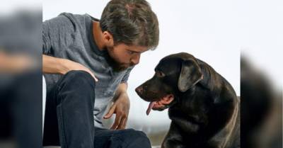 В российском городе Самара мужчина изменял жене с собакой - mur.tv - Россия - Самара