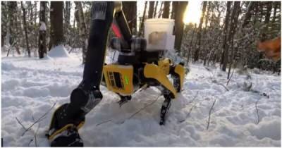 Boston Dynamics показала, как работает новая рука у робособак Spot - porosenka.net - Boston