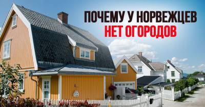 Почему бы норвежцам не сажать огород, раз есть частный дом и земля - takprosto.cc - Снг - Норвегия