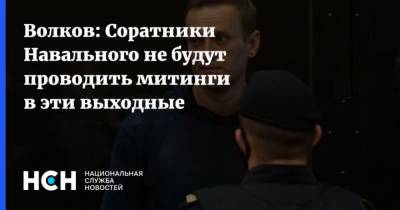 Алексей Навальный - Леонид Волков - Волков: Соратники Навального не будут проводить митинги в эти выходные - mur.tv