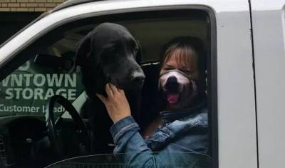 В США угнали фургон с 12 собаками внутри - mur.tv - Сша - Washington