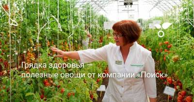 Грядка Здоровья — полезные овощи от компании «Поиск» - sadogorod.club