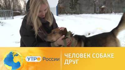 Утро России. Человек собаке друг - mur.tv - Россия