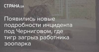 Зинаида Максименко - Появились новые подробности инцидента под Черниговом, где тигр загрыз работника зоопарка - mur.tv
