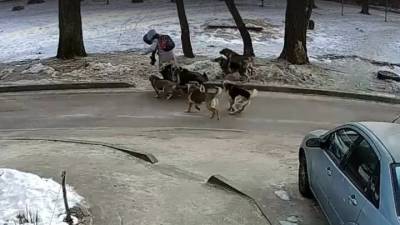 ЧП. Нападение своры собак на воронежскую школьницу попало на видео - mur.tv