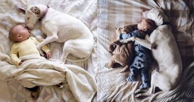 17 милейших фотографий, которые доказывают, что ребёнку просто необходима собака - mur.tv