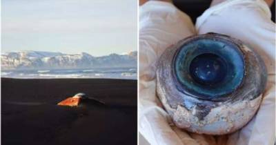 10 действительно странных вещей, которые нашли на берегу (11 фото) - chert-poberi.ru - Голландия - Англия