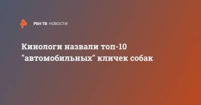 Владимир Голубев - Кинологи назвали топ-10 “автомобильных” кличек собак - mur.tv - Россия