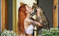 «Одинокая, 34-летняя, а нормального мужика на кошку променяла» - wday.ru