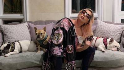 Леди Гага - Полиция запретила Леди Гаге выплачивать вознаграждение женщине, которая вернула певице собак - starslife.ru