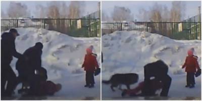 В Новосибирске двое мужчин спасли девочку из пасти бродячей собаки - porosenka.net - Новосибирск