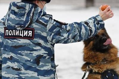 В Петербурге обучат служебных собак находить расчлененные тела - mur.tv - Санкт-Петербург