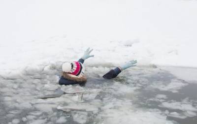 В Коломые девушки провалились под лед, спасая собаку - mur.tv - Ивано-Франковская обл.