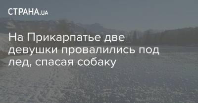 На Прикарпатье две девушки провалились под лед, спасая собаку - mur.tv