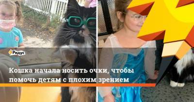 Кошка начала носить очки, чтобы помочь детям с плохим зрением - mur.tv - Сша - штат Пенсильвания