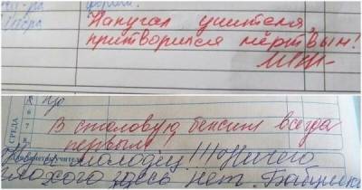 Замечания в школьных дневниках, которые ошарашили родителей - porosenka.net