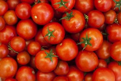 Генетик рассказала о вреде помидоров для человека - woman.rambler.ru - Россия