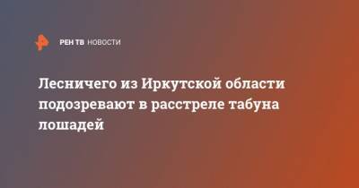 Лесничего из Иркутской области подозревают в расстреле табуна лошадей - mur.tv - Иркутская обл.